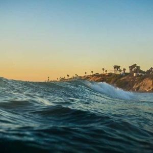 Meet your Posher, Shane